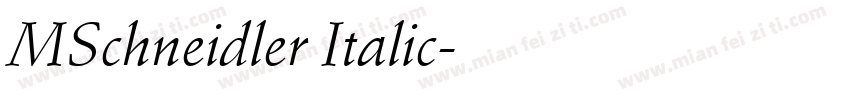 MSchneidler Italic字体转换